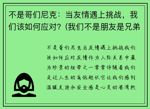 不是哥们尼克：当友情遇上挑战，我们该如何应对？(我们不是朋友是兄弟)