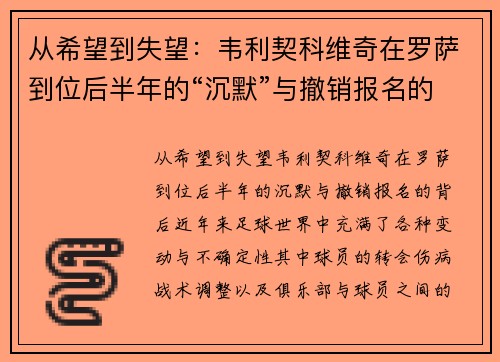 从希望到失望:韦利契科维奇在罗萨到位后半年的“沉默”与撤销报名的背后
